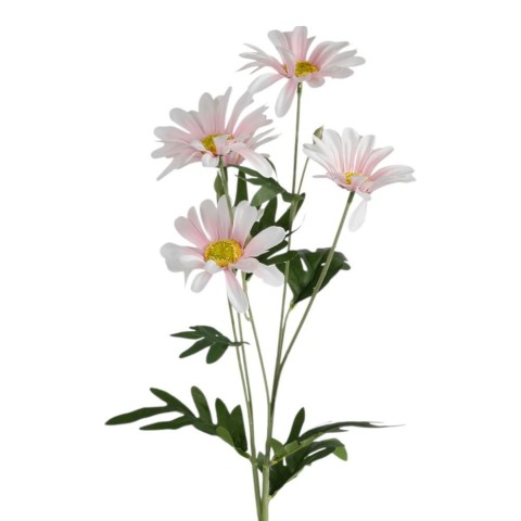 TRALCIO MARGHERITE  ROSA